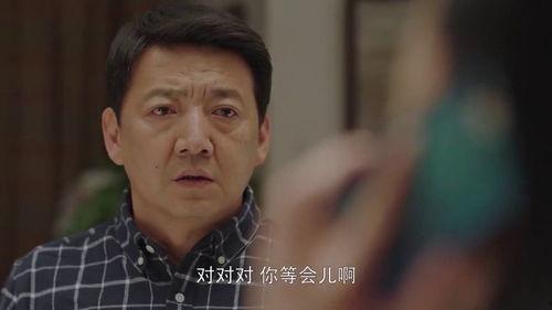 小欢喜35集在线观看,家庭纷争升级,情感纠葛再掀波澜 第1张 小欢喜35集在线观看,家庭纷争升级,情感纠葛再掀波澜 第1张